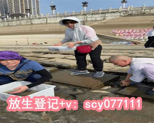 兔子放生在哪里好,放生的好处都有哪些呢