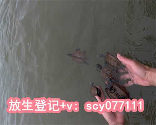 求子放生哪种动物最好，最美好的礼物