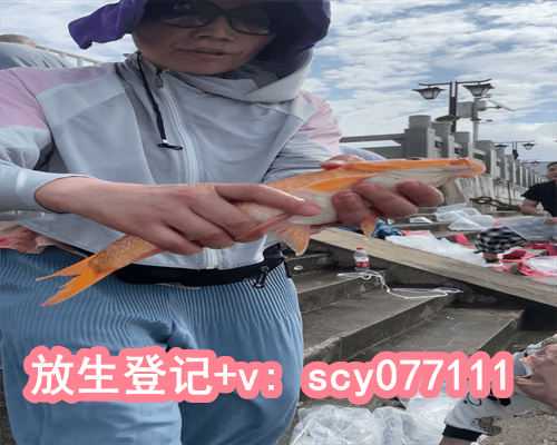 放生放鸽子代表什么意思,梦见生孩子是什么意思