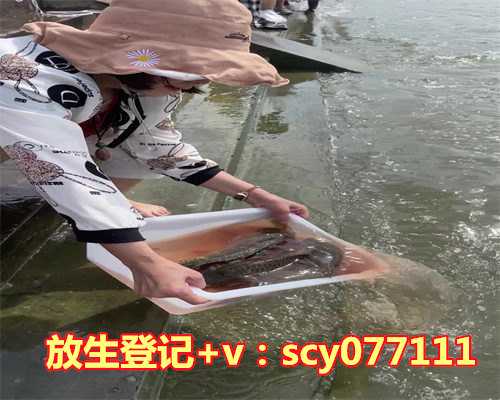放生黄鳝放几条好，买蛇放生好不好