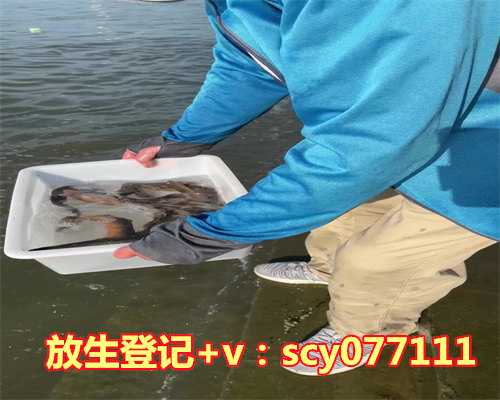 湖南比较正规的放生群，湖南怀化有100多人记得前世