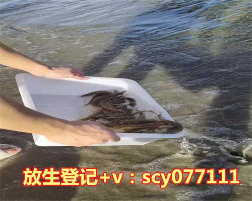 天冷了还能放生吗,秋天养生从冷水浴开始
