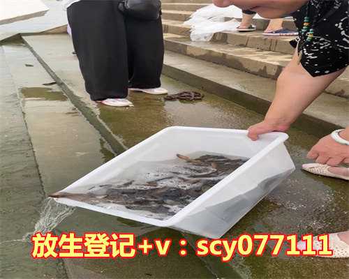 2023年放生新规定，2023年十二生肖运势运程