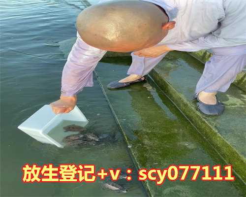 4月份放生鱼可以吗，巴西龟可以放生吗