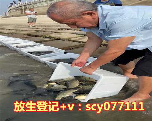 放生鱼有数量要求吗，放生鱼要注意什么？