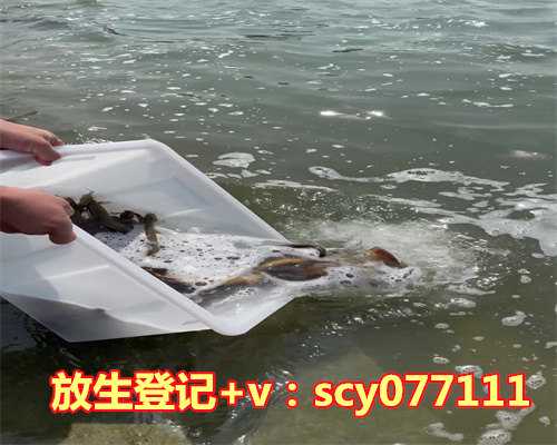 北京哪里放生虾最好，【新春游北京】30个北京情调自习室