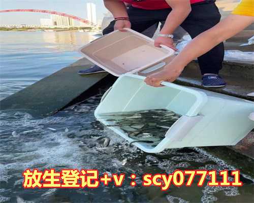 螺丝放生的寓意，五行属木又寓意好的字