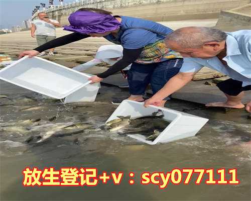 武汉哪里适合放生鲫鱼,武汉和北京都采用的核酸混检方法可靠吗?