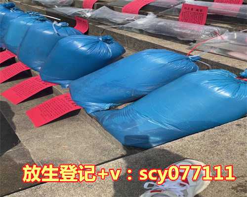 2023年农历放生吉日查询表，黄道吉日查询动土。