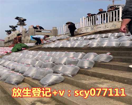 身体有病放生好不好，跳绳对身体的十个好处