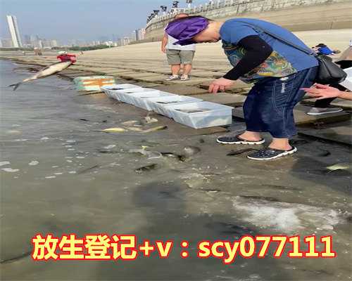 甲鱼去哪放生，放生到底该去哪里？