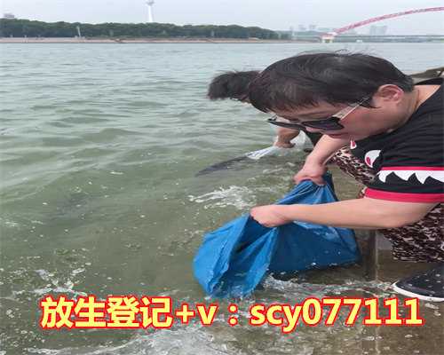 东莞哪里放生甲鱼好点,去过东莞观音山的,进…