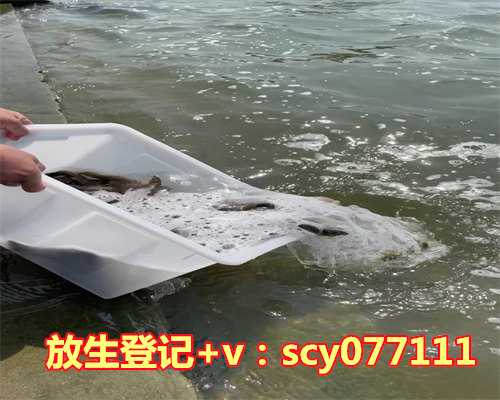 动物放生后回来感恩主人，十大感人动物