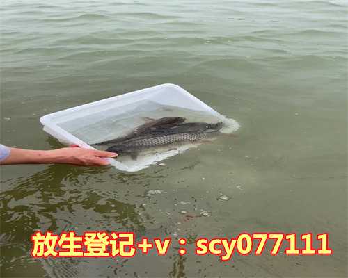 生日当天可以放生吗为什么，冬天可以这样护生，你知道吗？