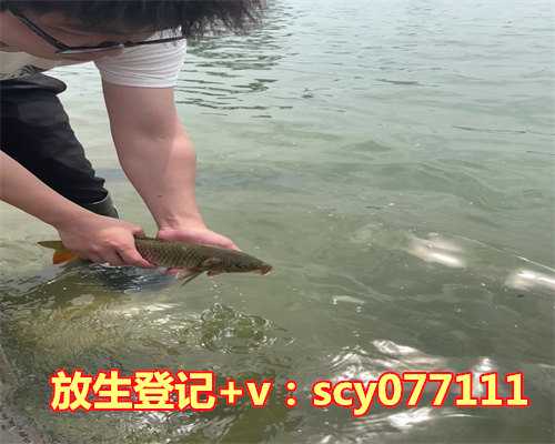 为高考学子放生回向,放生回向,瞎眼叔叔看得见了