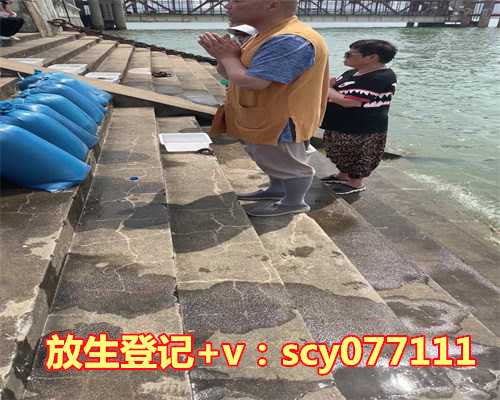 2023年3月适合放生的日子是，2023年5月哪天领证比较合适