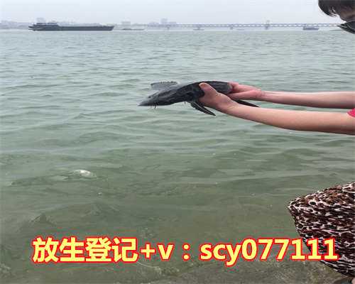 生日放生是什么意思，放生意义是什么