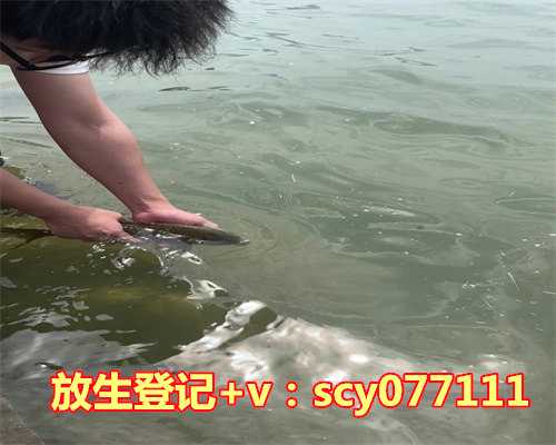 长沙放生泥鳅在哪里，长沙小伙自行孵化1300多条蛇，将于25日放生