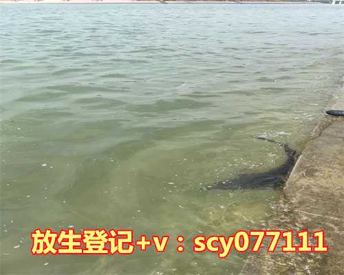 郑州哪里能放生青蛙,郑州80后小夫妻举行汉服婚礼以素食喜宴待客