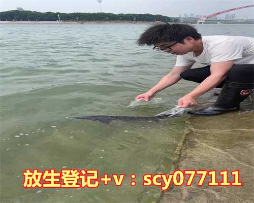 放生泥鳅放多少条合适,圆满放生:适合干法暂养的鳖放生3