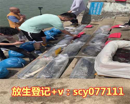 鳖放生有什么寓意，梦到抱着小猴子，有什么寓意吗？