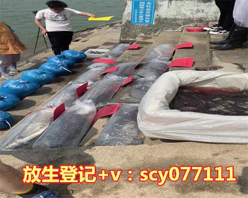 冬眠的乌龟可以放生吗视频，男子放生乌龟五次龟不愿走