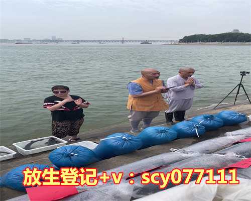 适合放生的鸟类，夏季瓜类最适合夏季吃的瓜类