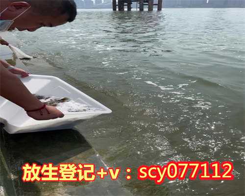乌鲁木齐哪里可以放生乌龟的地方,乌鲁木齐哪里可以放生乌龟