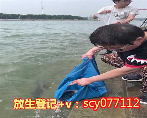 黑鱼放生后,放生的人能吃黑鱼吗,为何和尚都放生黑鱼啊