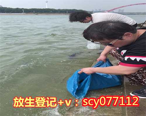 北京乌龟放生哪里合适呢，【新春游北京】30个北京情调自习室