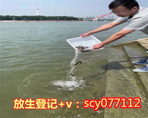 生日当天供养三宝还是供僧好,佛弟子生日供养三宝