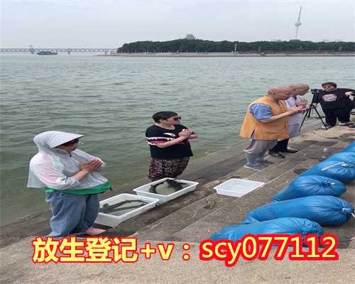 江门放生要怎么做,江门开素食店的功德与福报,江门安徽哪里放生乌龟最合适