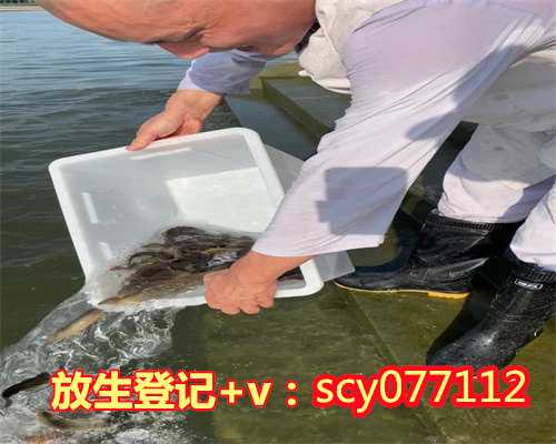 内蒙哪个地段放生，生辰八字是哪几个