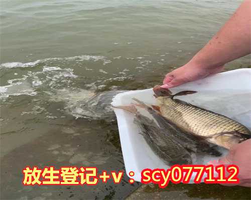 家养乌龟放生到大河里去会活吗?,乌龟放生在长江里能活吗