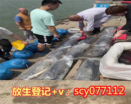 为家人放生治愈疾病视频大全,为家人放生治愈疾病