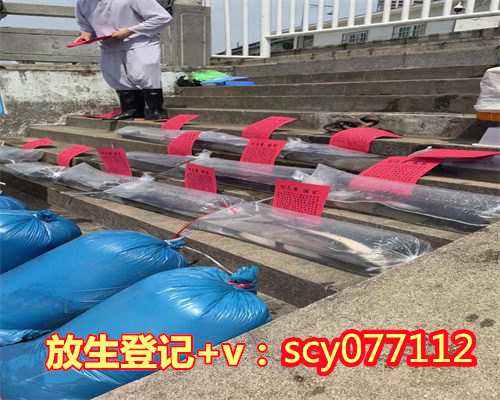 放生的果报无量无边(放生蚌的果报)