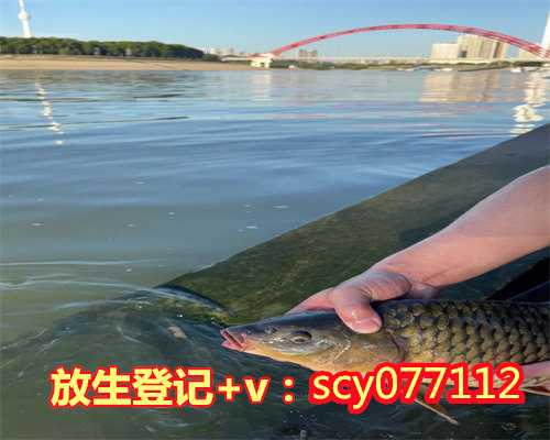放生筹款功德,佛教当中专业的放生筹款网站