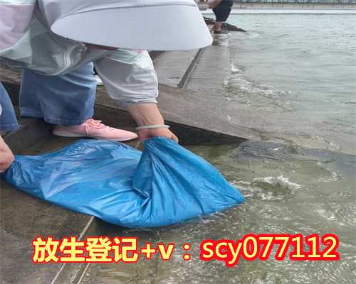 别人代替放生怎样回向,代替别人放生回向文