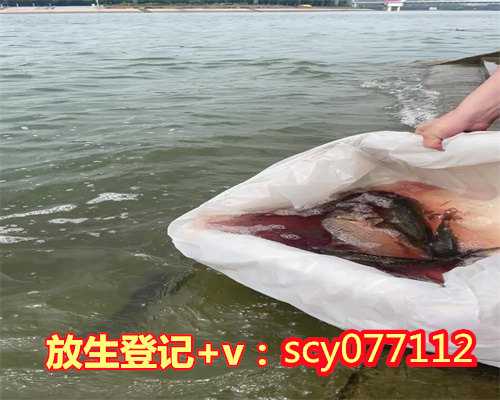 东莞放生草鱼死了好不好,放生草鱼死了好不好,自已给钱让别人放生好吗