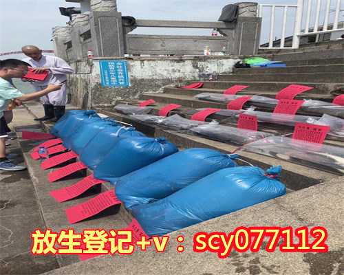 不吃素的人能放生吗为什么,不吃素的人能放生吗