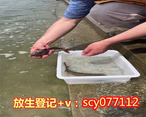 常州寺庙放生池,常州放生鸡在哪里,常州哪里可以放生最好