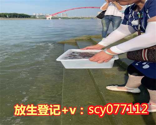 张家口鳄龟放生有什么危险,鳄龟放生有什么危险,放生甲鱼后家里会倒霉吗