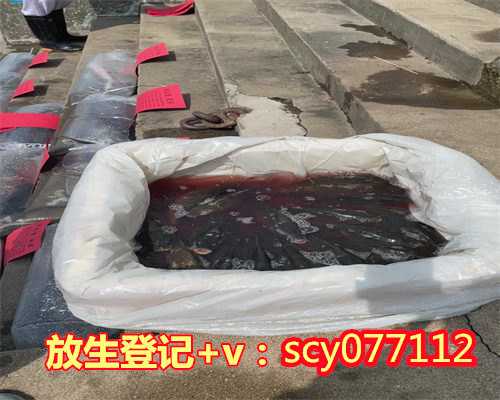 为什么放生鸟功德大的人会死,为什么放生鸟功德大