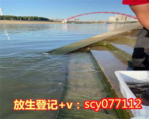 姻缘放生几条鱼惠州2023年最适合放生的日子是什么【念慈放生网】
