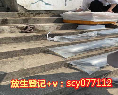 天津市放生护生协会官网,同体大悲——为天津塘沽爆炸事件受难者祈福
