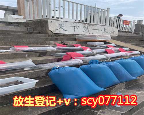 为什么放生鸟功德大的人会死,为什么放生鸟功德大