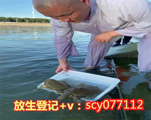 放生没感应是不是恶业太重，太上感应篇图说口是心非