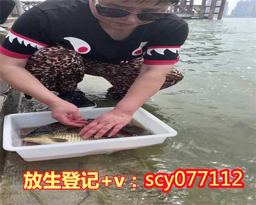 2021年全年最佳放生时间表,全年最佳放生时间表