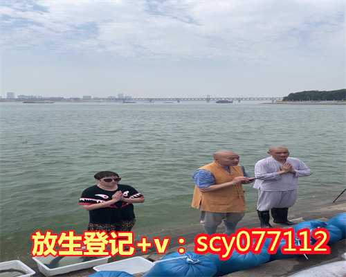 今天放生是下午还是上午,今天放生日子好不好