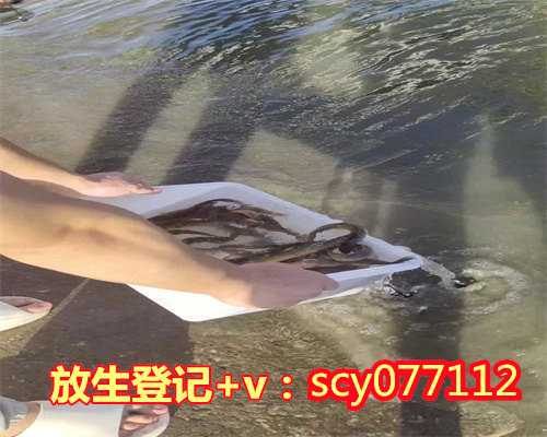 放生筹款功德,佛教当中专业的放生筹款网站